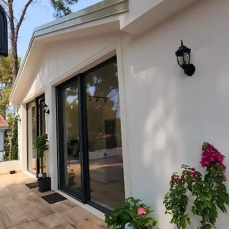 Pinetrees Penthouse @ The Holiday home Golem (Tirana)