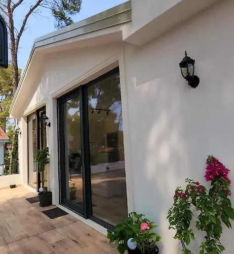 Pinetrees Penthouse @ The Vakantiehuis Golem (Tirana)